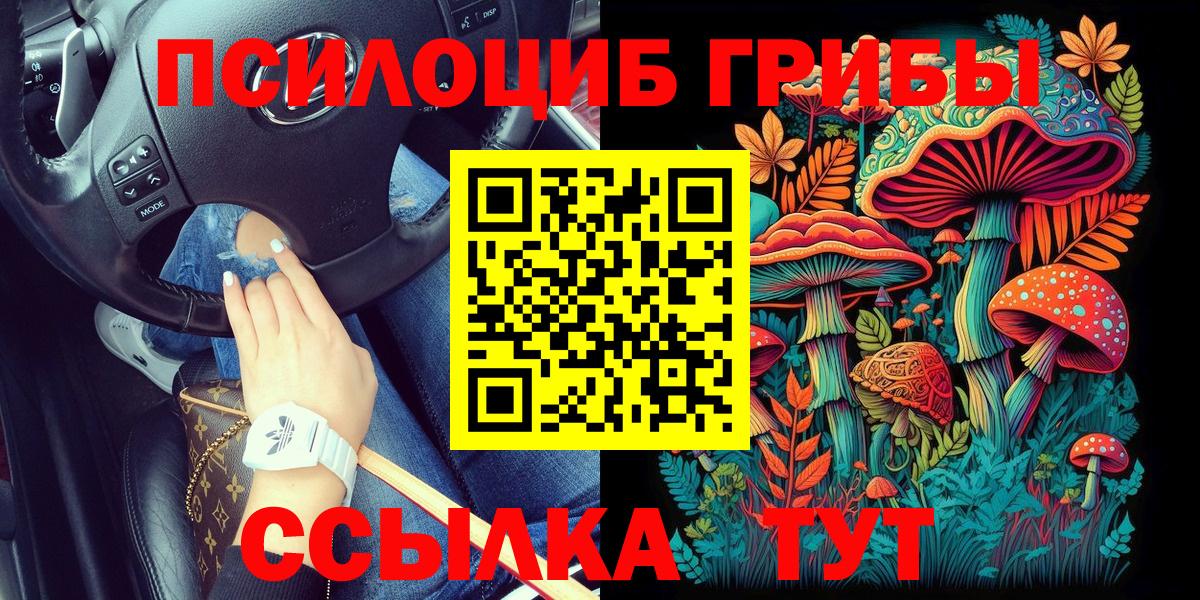 Галлюциногенные грибы Cubensis Прохладный