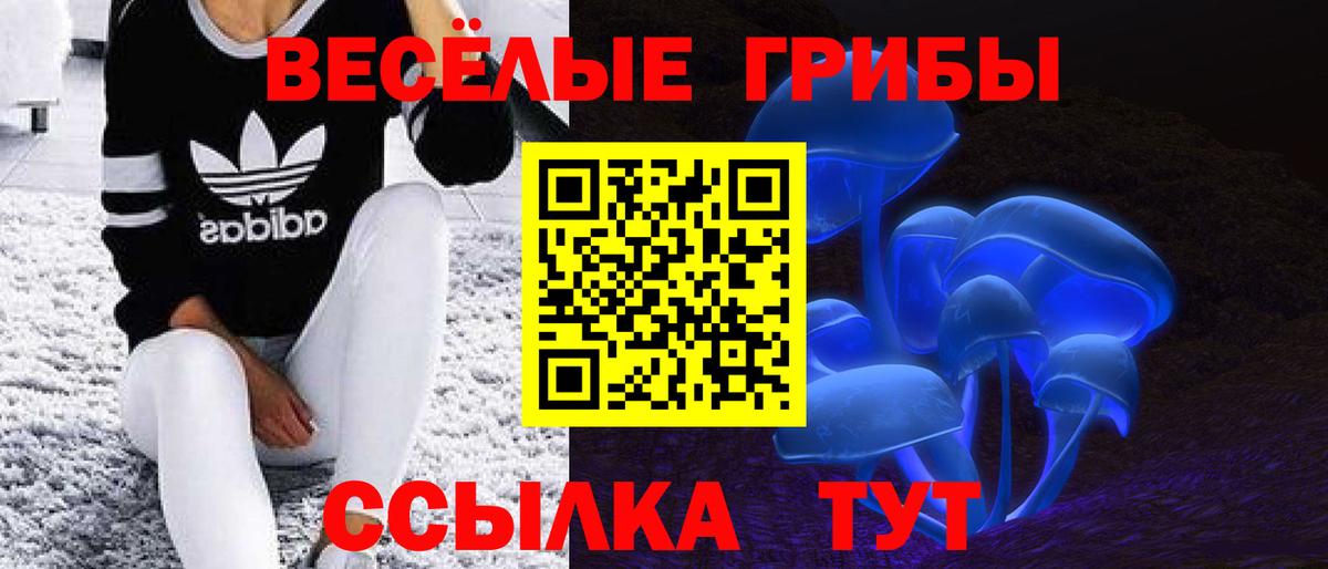 Прохладный  Галлюциногенные грибы Psilocybe  Вход с VPN 